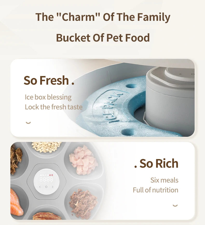 6-Meal Automatic Pet Feeder - Smart Food Dispenser for Wet & Dry Food