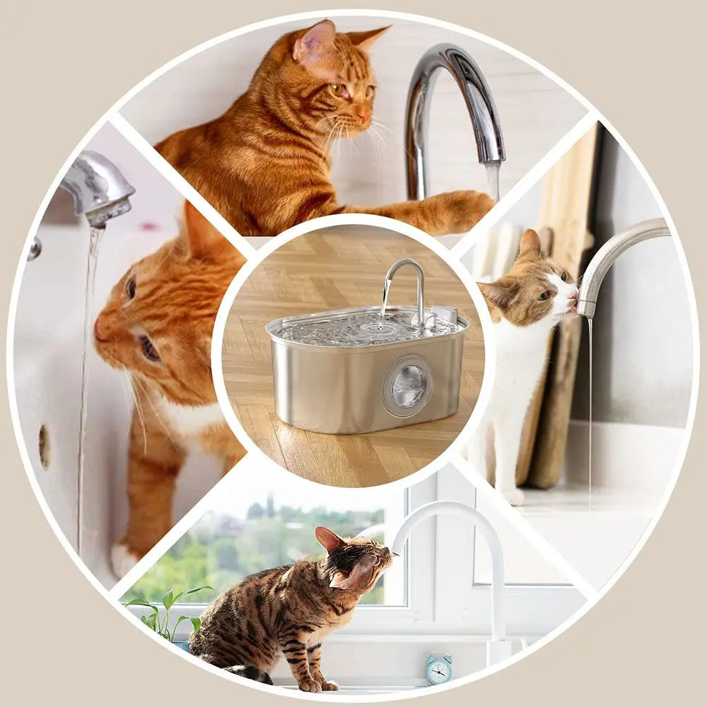 Premium Pet Water Fountain - 3.2L Stainless Steel with Silent Filter & Transparent Window