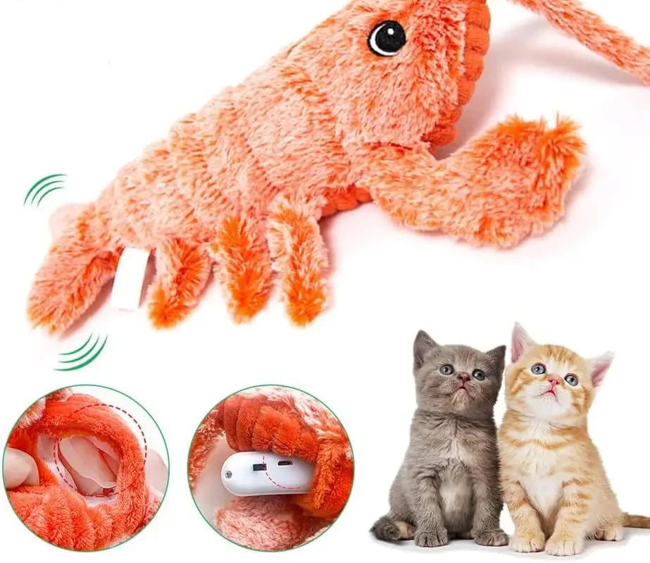 Jouet interactif électrique sauteur pour chat avec herbe à chat
