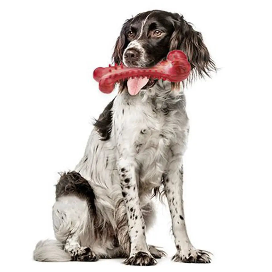 Ultra-Tough Chew Toys for Large Dogs - Beef Flavored Dental Cleaning Bones