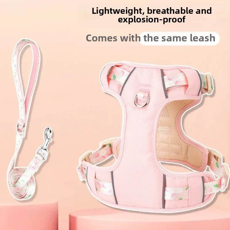 Adjustable Dog Collar and Harness Set