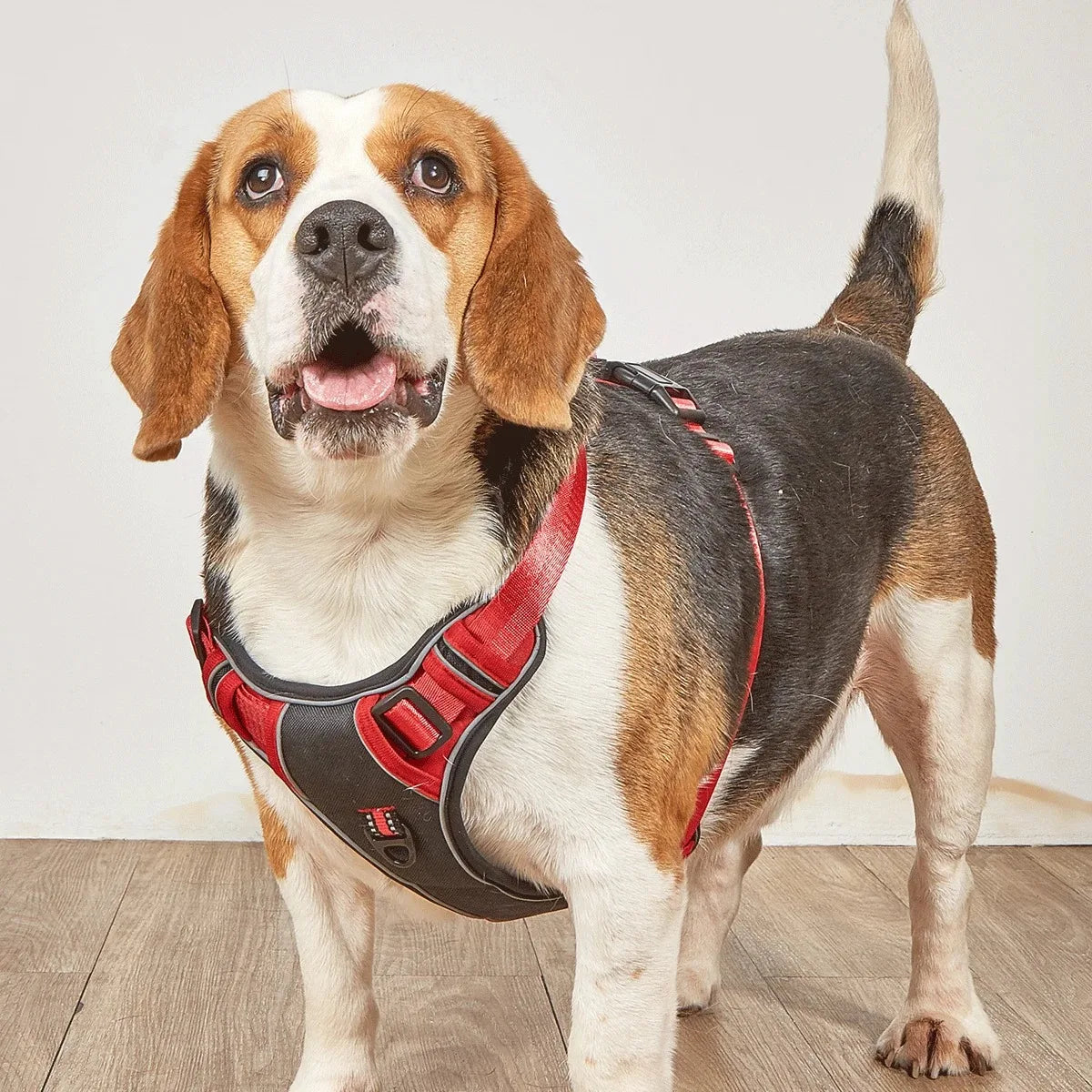 Premium Dog Harness - Comfortable, Stylish, and Durable