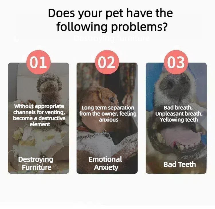 Ultra-Tough Chew Toys for Large Dogs - Beef Flavored Dental Cleaning Bones