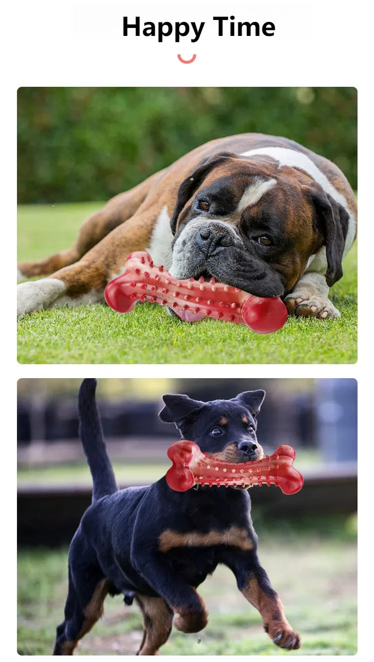 Ultra-Tough Chew Toys for Large Dogs - Beef Flavored Dental Cleaning Bones