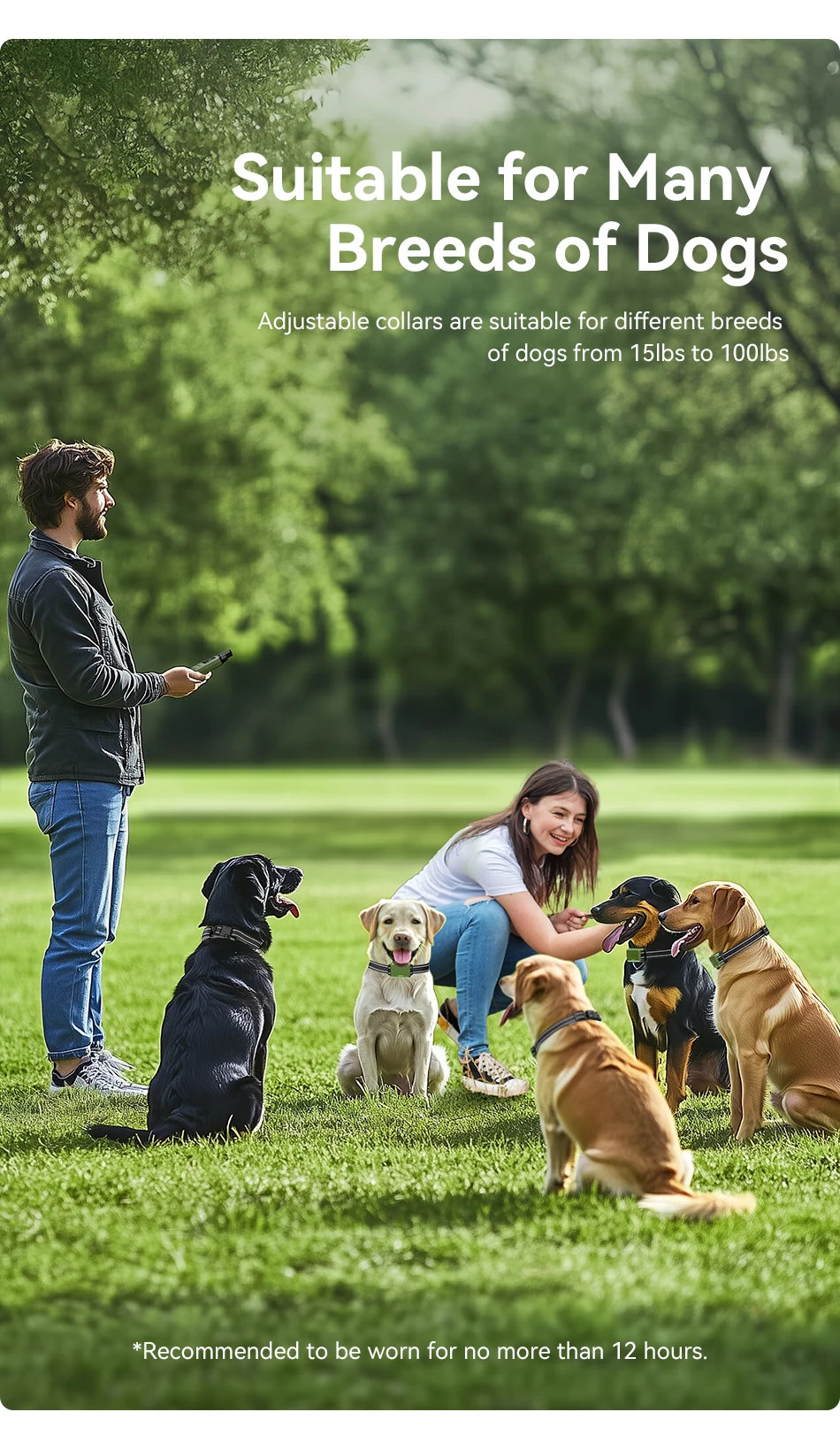 Remote Dog Training Collar - Rechargeable Bark Control System with Multiple Training Modes