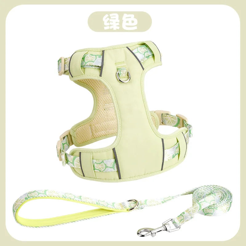 Adjustable Dog Collar and Harness Set