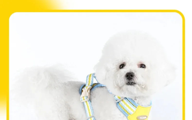 Tactical Dog Harness with Chest Leash
