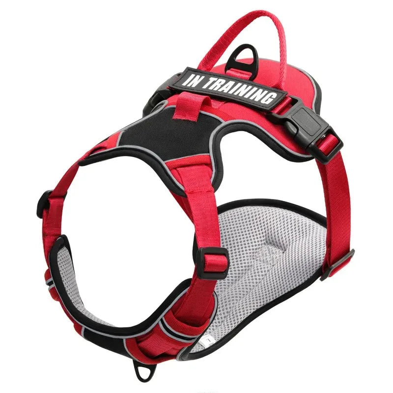 Premium Dog Harness - Comfortable, Stylish, and Durable
