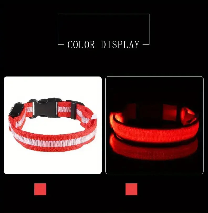 LED Dog Collar - Rechargeable Safety Light for Night Walking