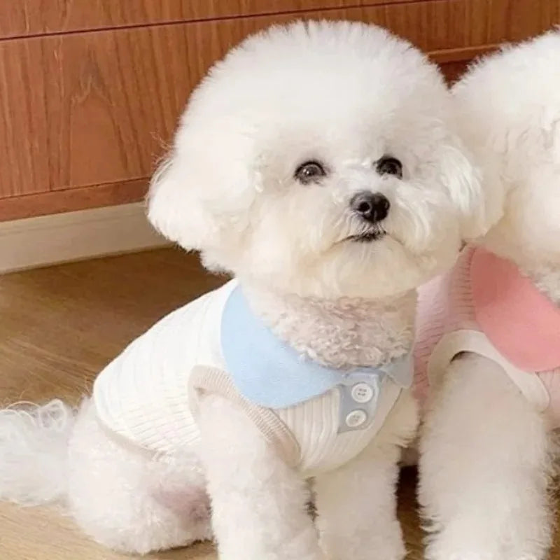 Summer Dog Shirt - Lightweight Pet Clothing for Small Dogs