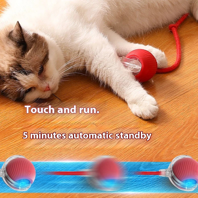 Electric Cat Ball Toy with Automatic Rolling and Teaser Bird - Interactive Pet Toy