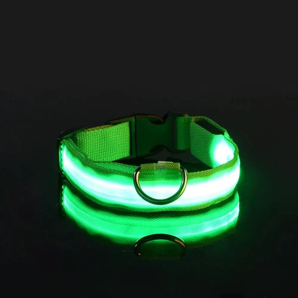 LED Dog Collar - Rechargeable Safety Light for Night Walking