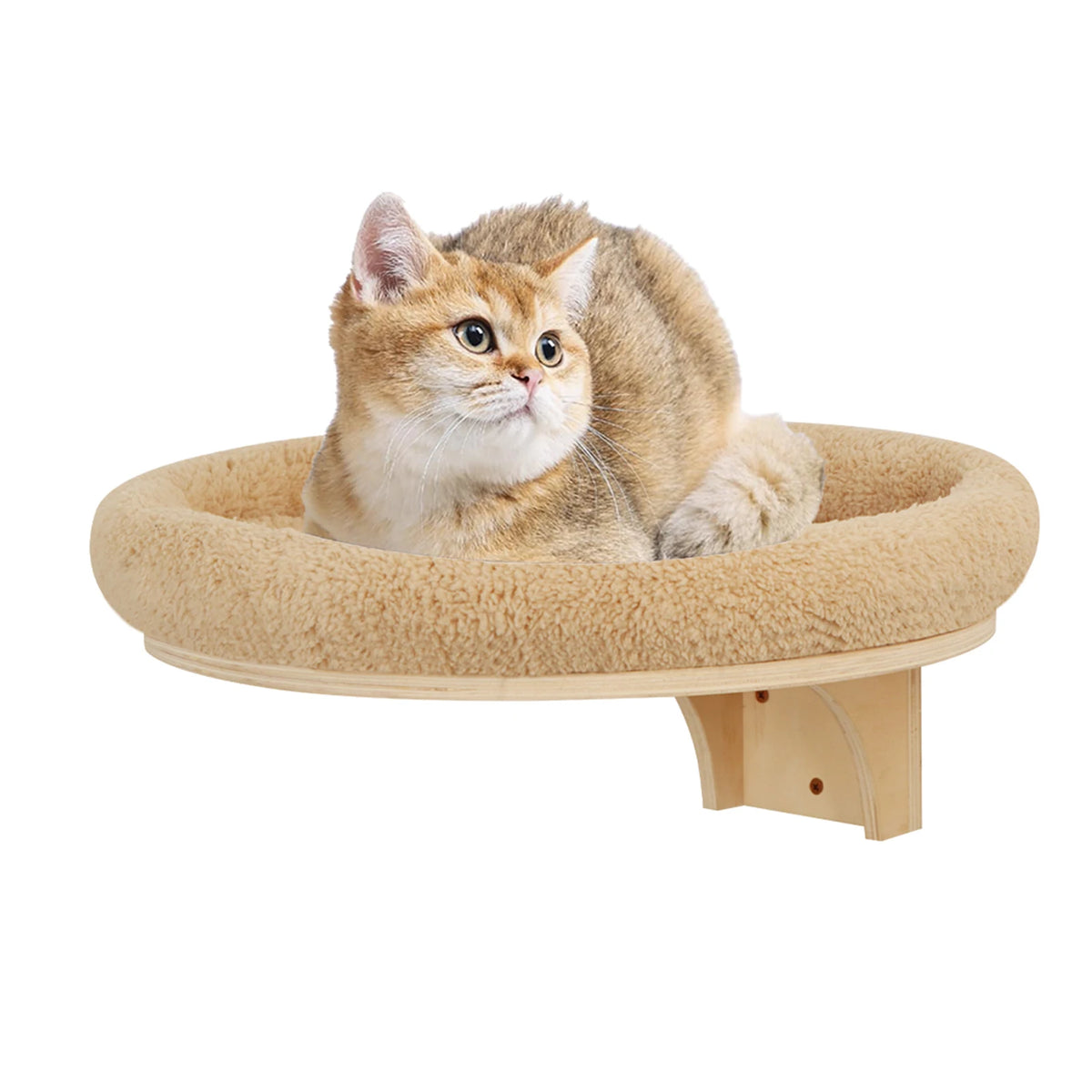 Wall-Mounted Cat Climbing Furniture & Hammocks