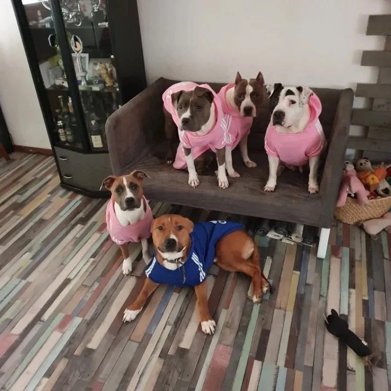 Warm Dog Hoodie - Autumn Winter Pet Coat for Medium to Large Dogs