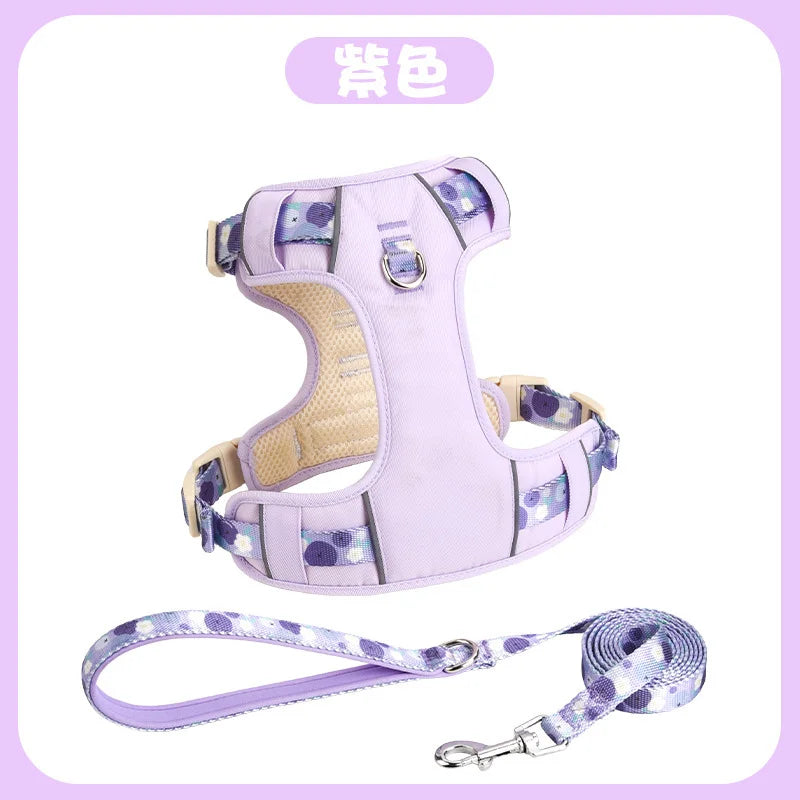 Adjustable Dog Collar and Harness Set