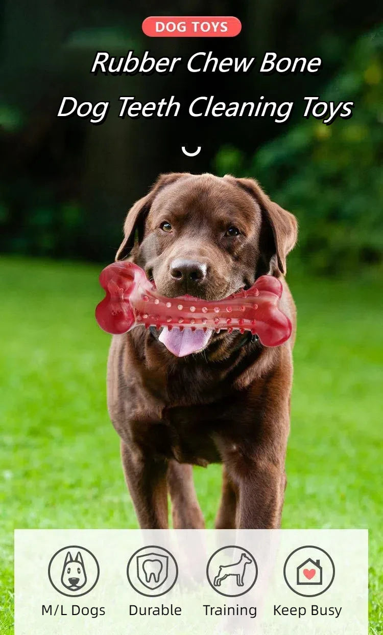 Ultra-Tough Chew Toys for Large Dogs - Beef Flavored Dental Cleaning Bones