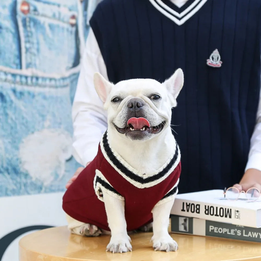 Pet Sweater - Warm Pullover Vest for Dogs and Cats