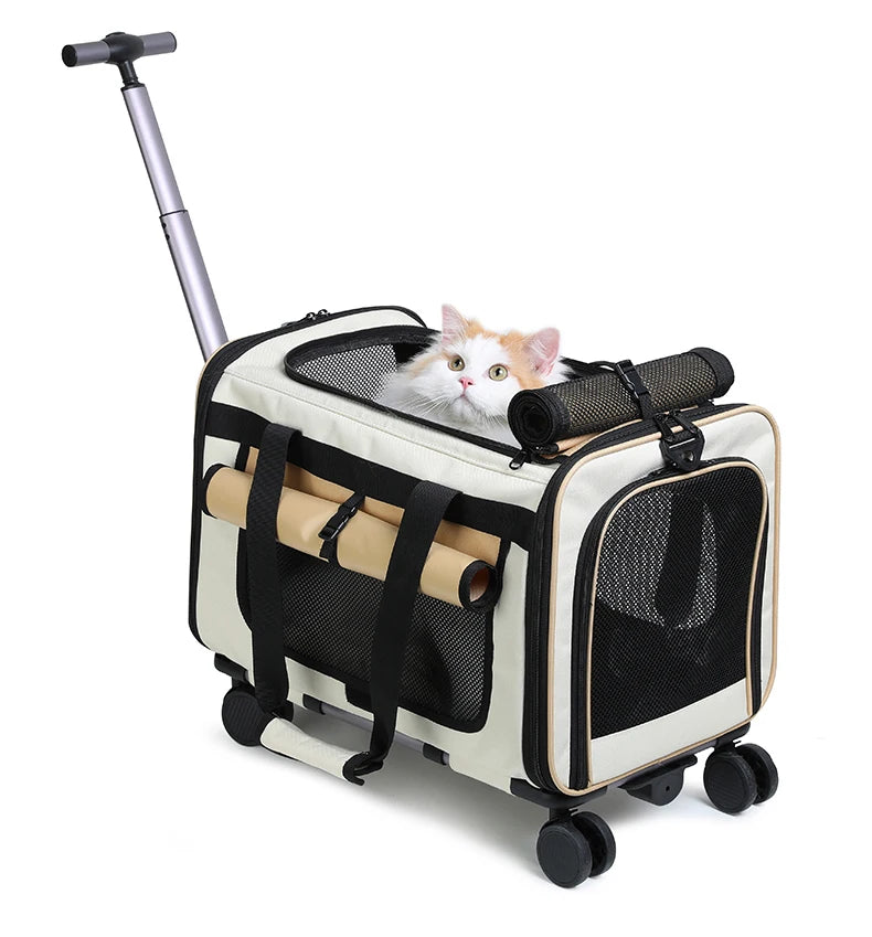 Sac de transport pliable pour animaux de compagnie — Grande valise de voyage détachable
