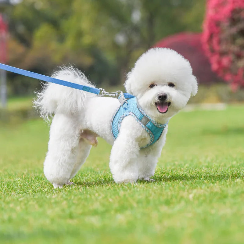 Reflective Pet Harness and Leash Set - Comfortable Vest for Small to Medium Dogs