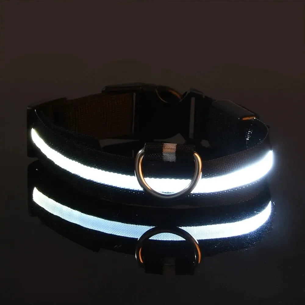 LED Dog Collar - Rechargeable Safety Light for Night Walking