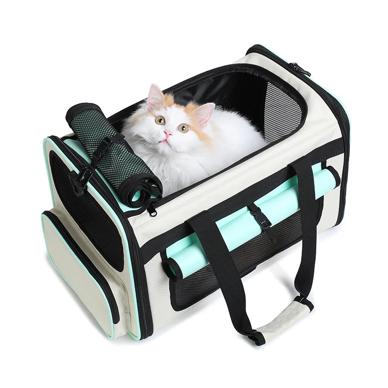 Airline Approved Collapsible Soft-Sided Pet Carrier — Travel Cat & Dog Carrying Case
