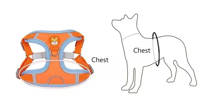 No-Pull Harness and Leash Set - Reflective Vest for Small Dogs