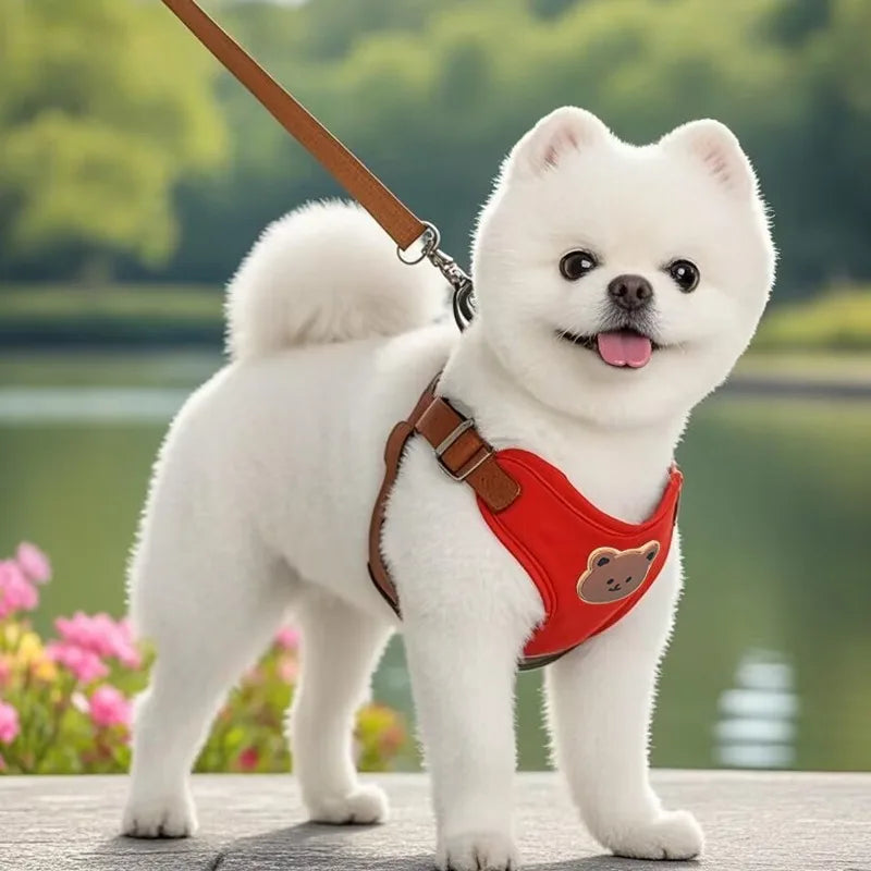 Breathable Pet Harness and Leash Set - Comfortable Chest Vest for Small to Medium Dogs