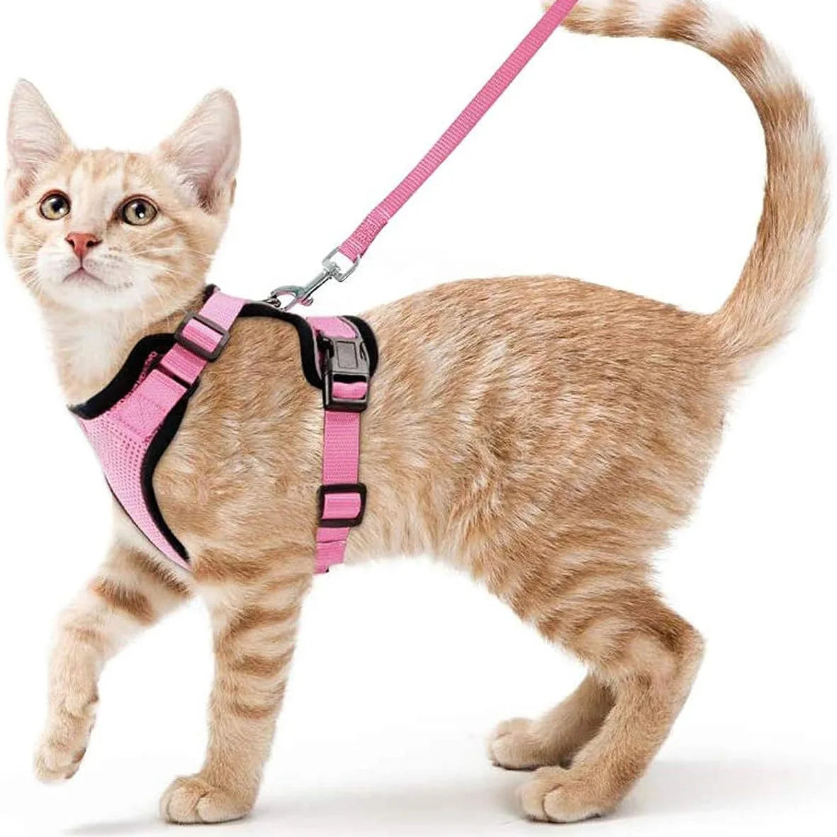 Escape-Proof Cat Harness and Leash Set - Adjustable Reflective Vest