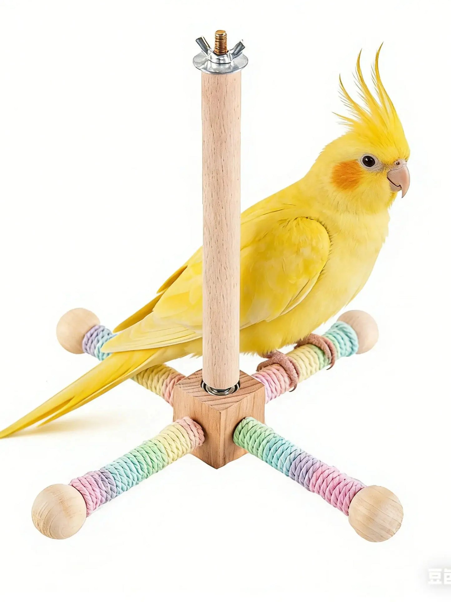 Jouet perchoir moulin à vent rotatif pour perruches et oiseaux