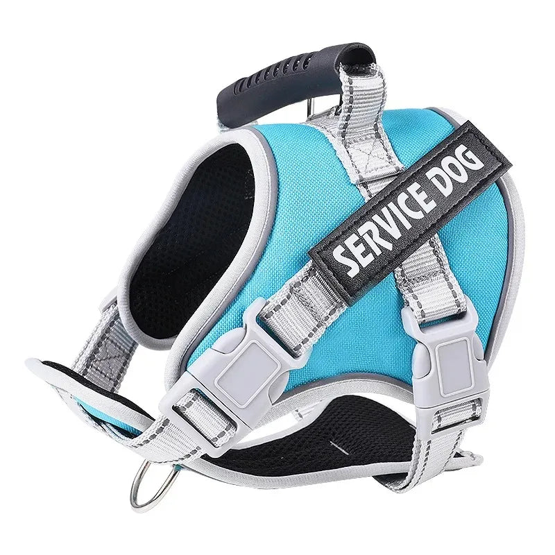 Puppy Harness with Leash - Small to Large Dog Training Set