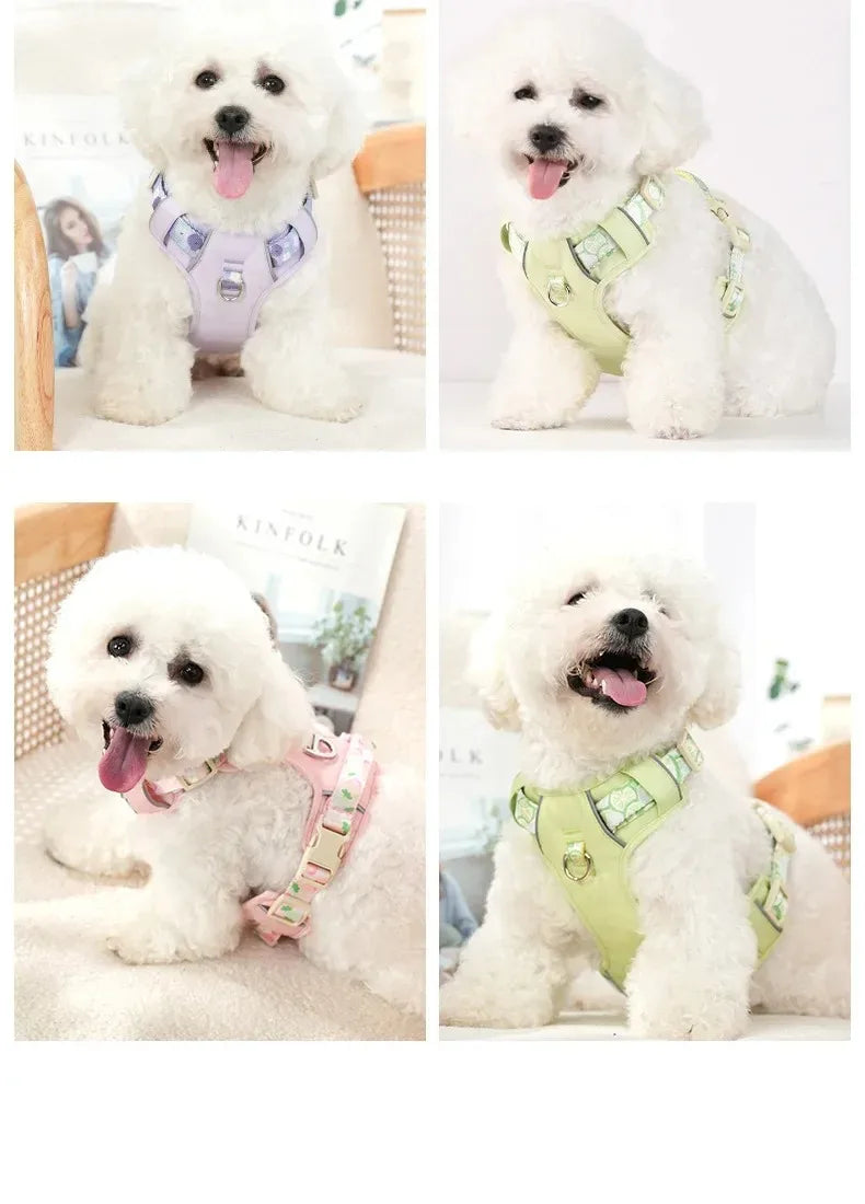 Adjustable Dog Collar and Harness Set