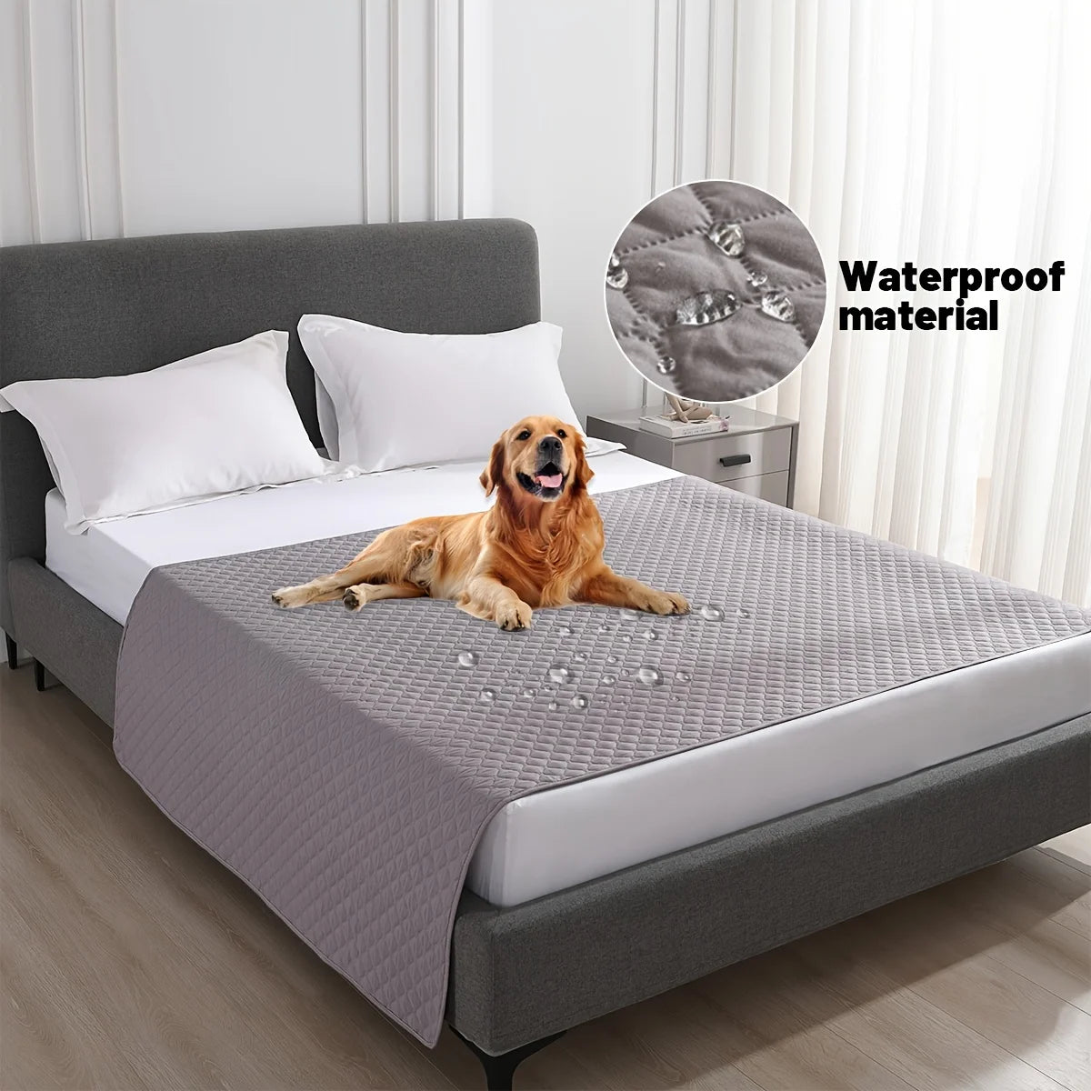 Pet Furniture & Bed Cover