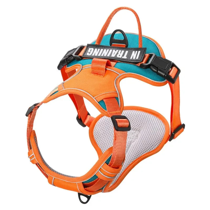 Premium Dog Harness - Comfortable, Stylish, and Durable