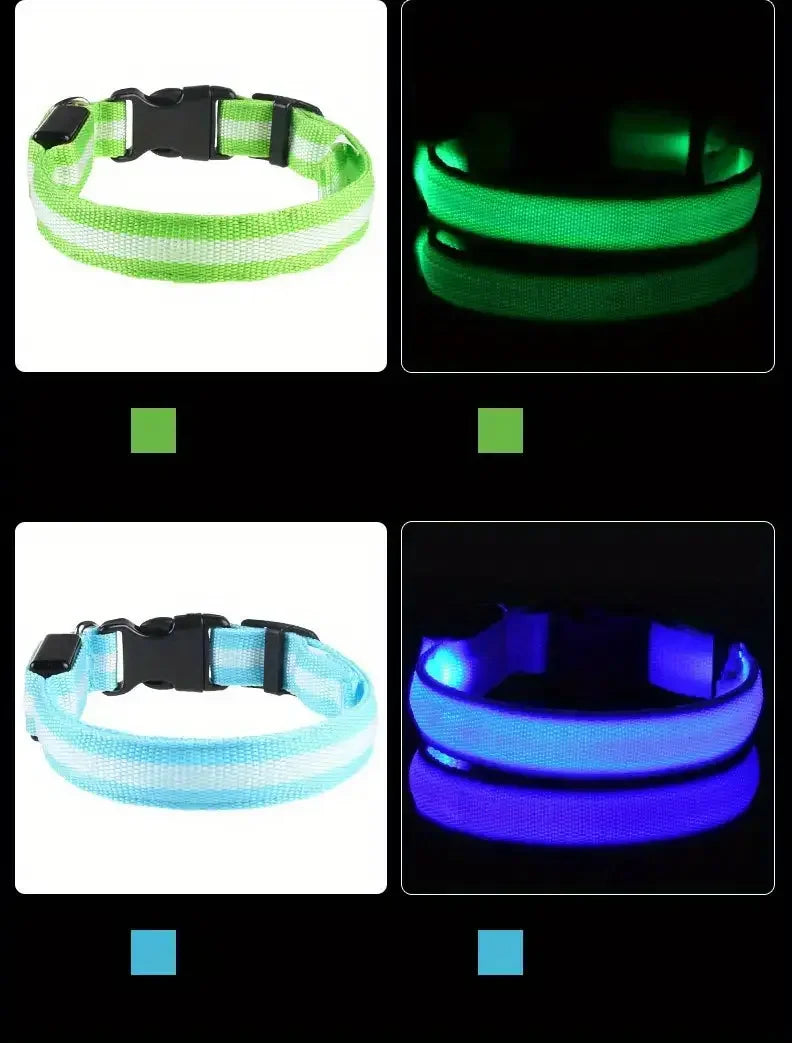 Nylon LED Night Safety Flashing Glow in the Dark Dog Leash - Luminous Fluorescent Pet Dog Collar