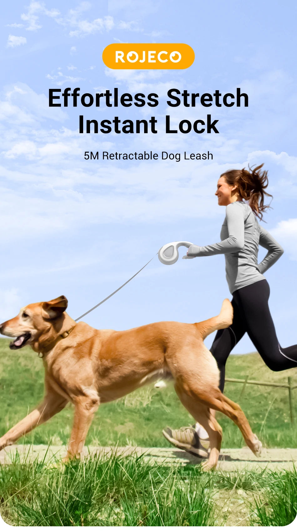 Retractable Dog Leash 5M - Automatic Extendable Lead for Walking, Hiking & Running