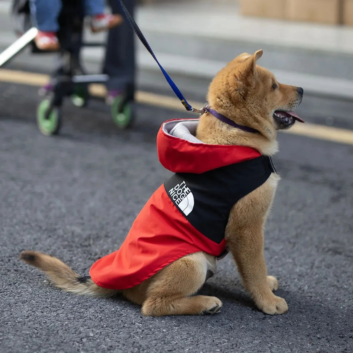 Dog Summer Clothing - Breathable & Stylish