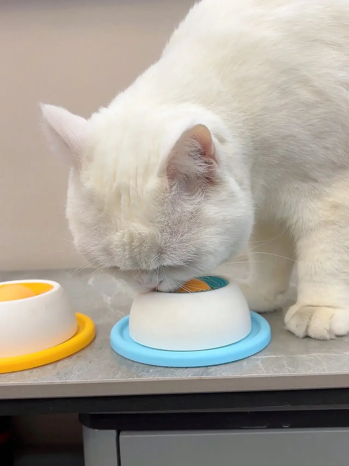 Lick Mat Slow Feeder for Dogs & Cats