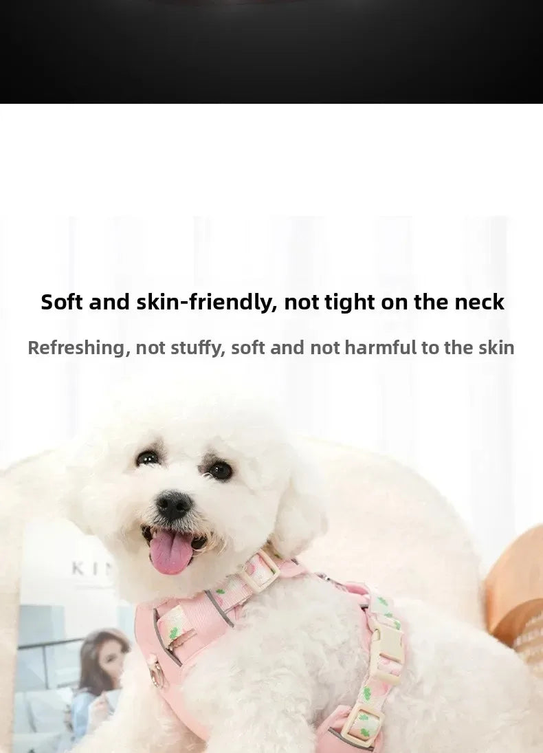 Adjustable Dog Collar and Harness Set