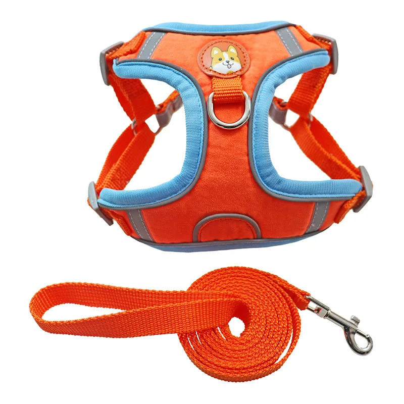 No-Pull Harness and Leash Set - Reflective Vest for Small Dogs