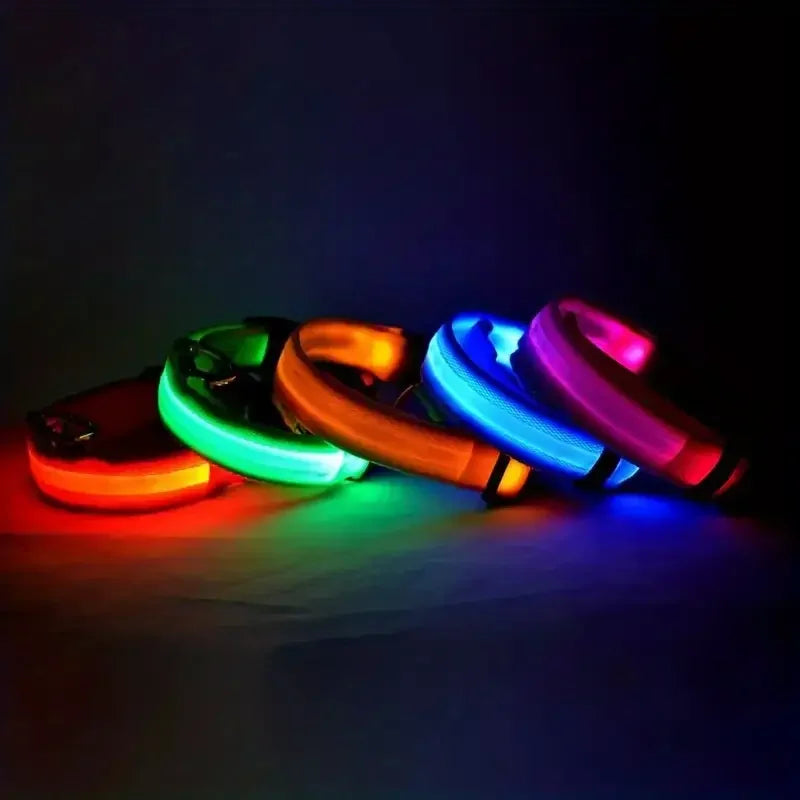 Nylon LED Night Safety Flashing Glow in the Dark Dog Leash - Luminous Fluorescent Pet Dog Collar