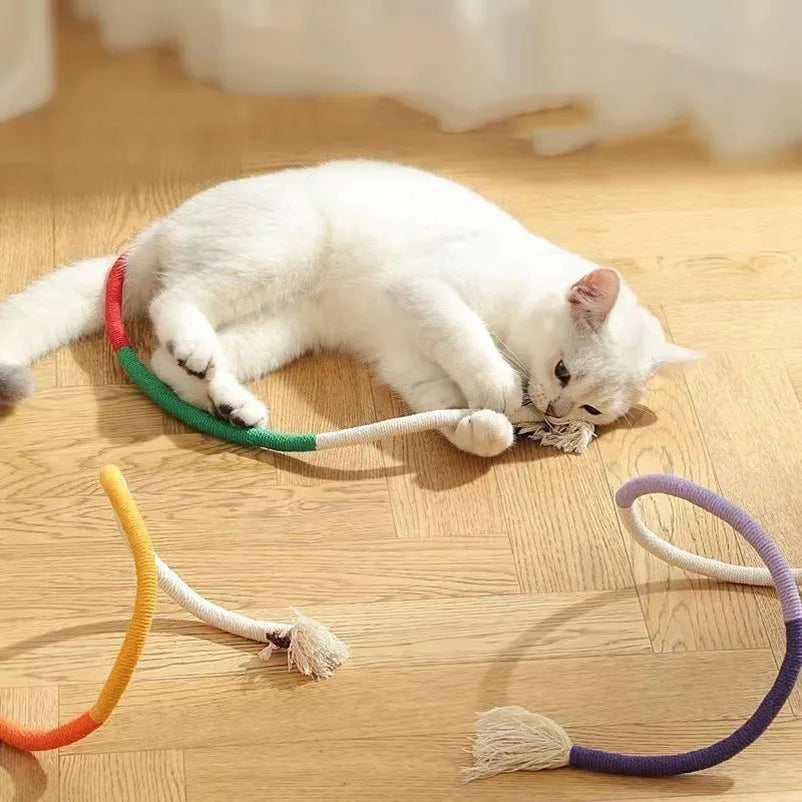 Interactive Cat Toys Set - Feather Teasers and Chew Toys for Kittens