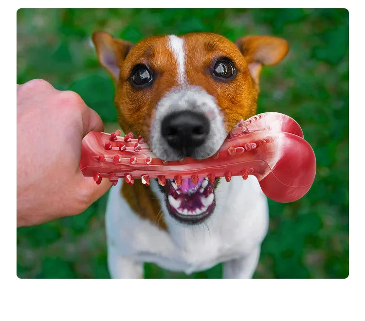 Ultra-Tough Chew Toys for Large Dogs - Beef Flavored Dental Cleaning Bones