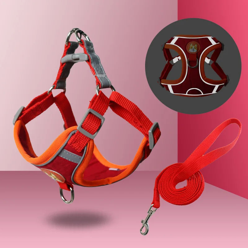 No-Pull Harness and Leash Set - Reflective Vest for Small Dogs
