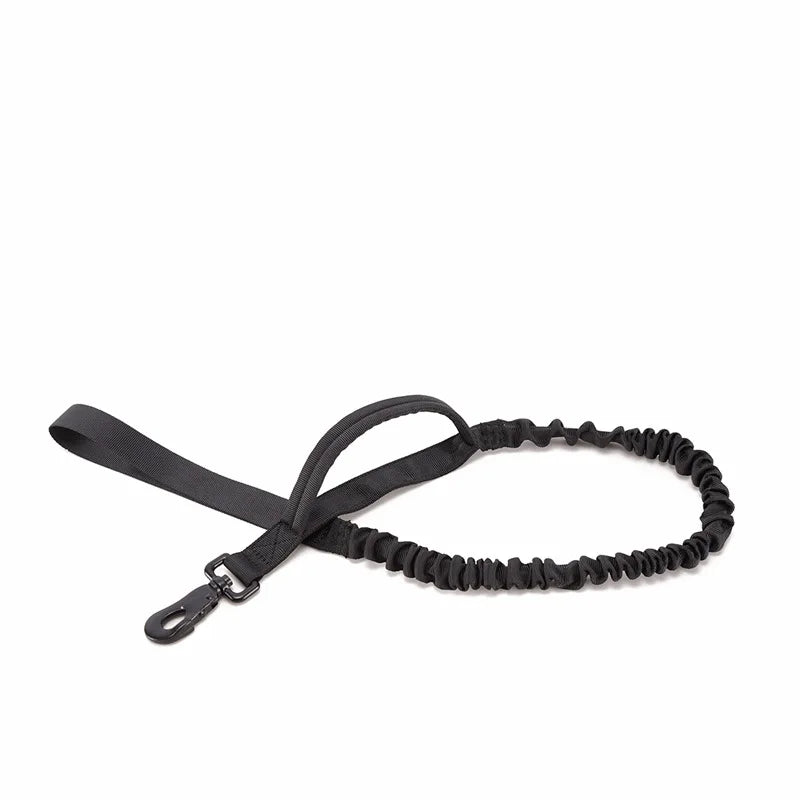 Laisse Tactique Militaire pour Chien - Laisse en Nylon Robuste avec Absorption des Chocs
