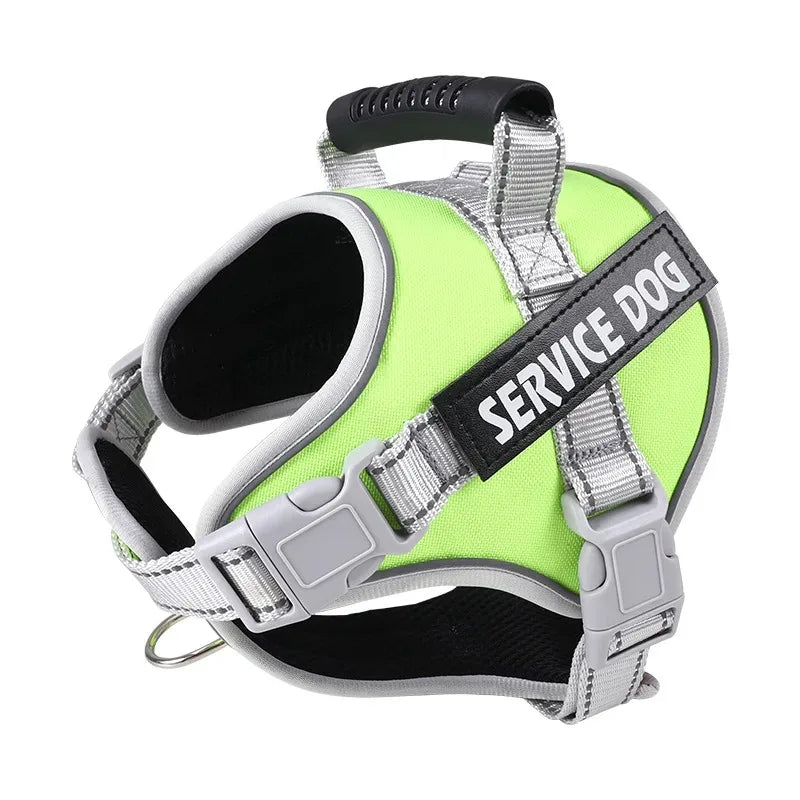 Puppy Harness with Leash - Small to Large Dog Training Set