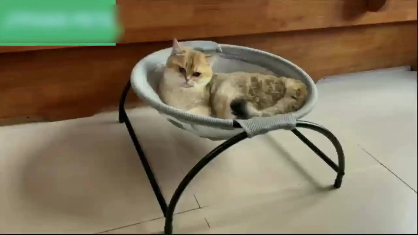 Breathable Cat Hammock Bed - Elevated Cooling Cot for Ultimate Comfort