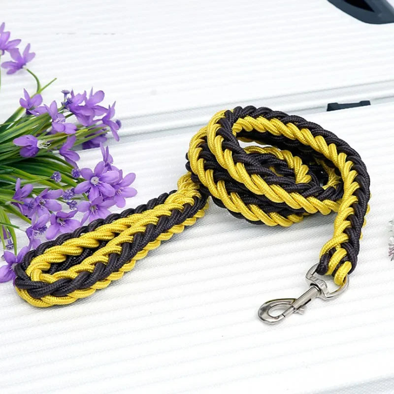 Adjustable Nylon Dog Leash & Collar Set for Medium to Large Dogs