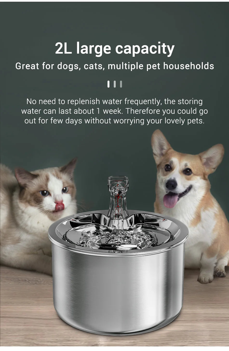 Premium Stainless Steel Cat Water Fountain with Smart Motion Sensor