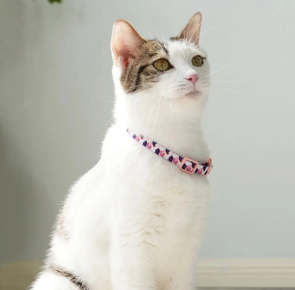 Premium Leather Cat Harness & Retractable Leash - Large Cat Collar with Bell