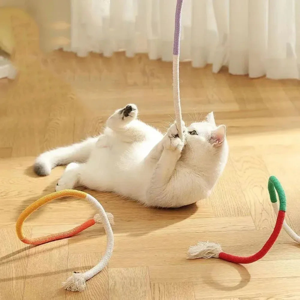 Interactive Cat Toys Set - Feather Teasers and Chew Toys for Kittens